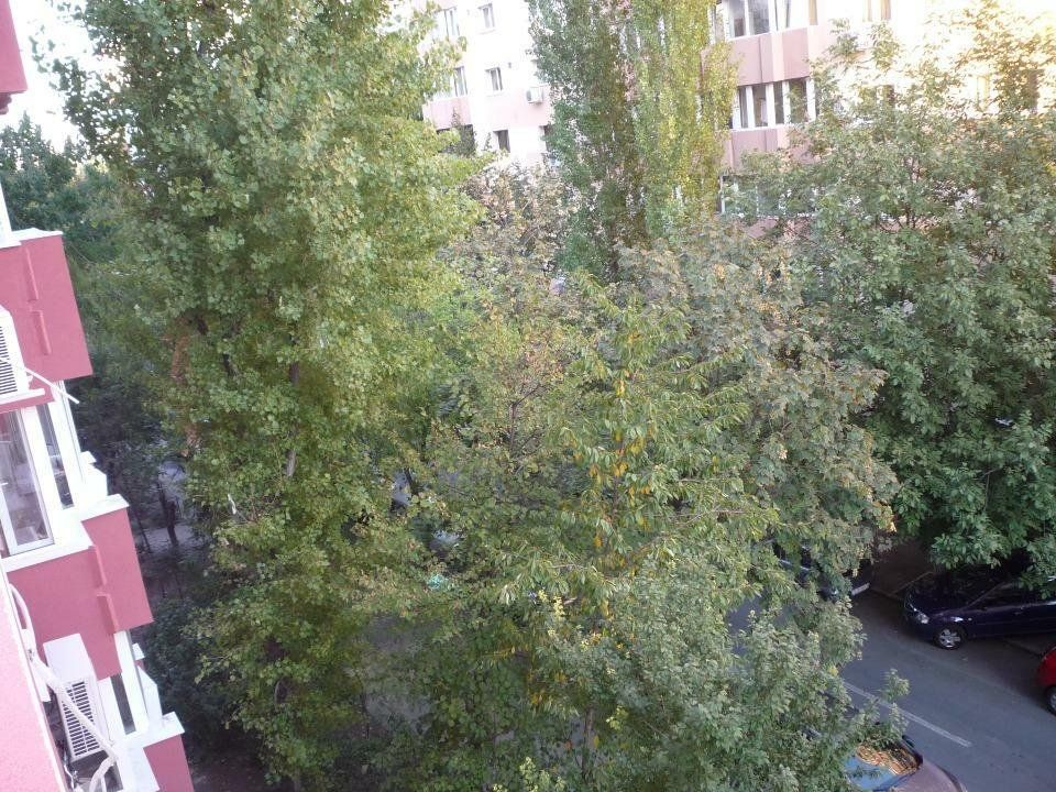 Panduri - 3 camere decomandate de vanzare etaj 3 - - Poză 14