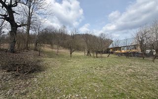 Teren 6040 mp la baza pădurii deschidere 40 ml - Poză 4