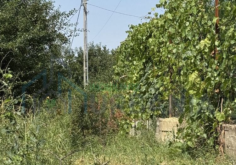 Teren intravilan 450 mp în Tomesti, lângă Primărie - Poză 3