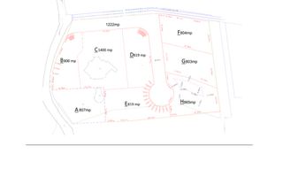0% comision Teren de 8339 mp cu potențial de investiție Făget - Poză 2