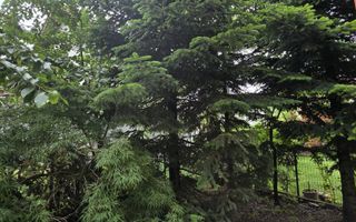 Vila 5 camere LUX Voluntari - Cartier Henri Coanda - Poză 2