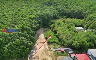 AZURA Imobiliare - Vanzare teren Hintesti, langa padure, 300m din DN - Poză 26