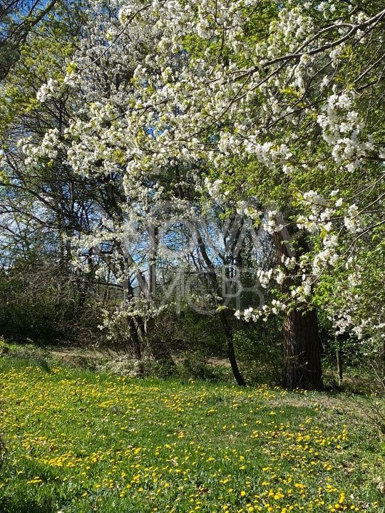 Casa individuala  - vedere spre padure - Parcul Sub Arini - Poză 39