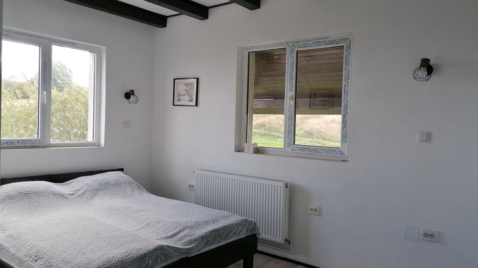 Imobil tip pensiune Dangau Mare - Poză 6