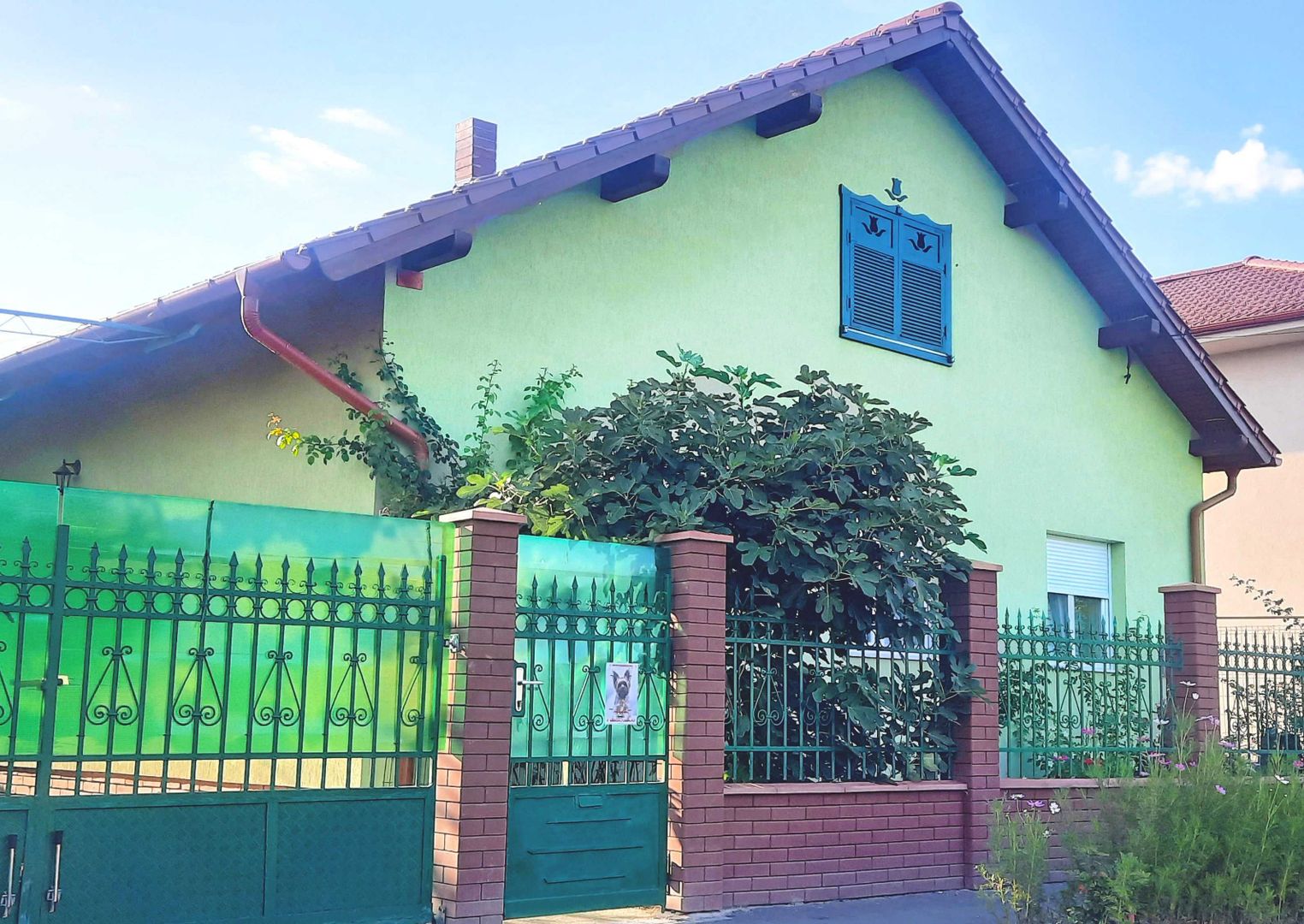 BRASADAS vinde casa noua, 4 cam 920 mp teren, Dariu Pop - Poză 1