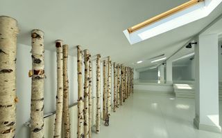 Vilă interbelică pentru birouri sau rezidență – Victoriei - Poză 8