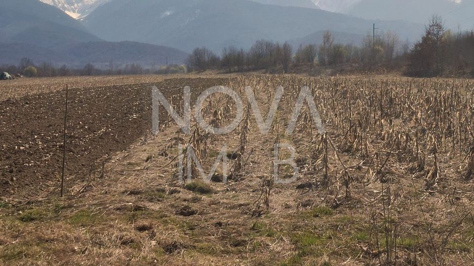Teren extravilan de vanzare - Arpasul de Sus - Poză 5