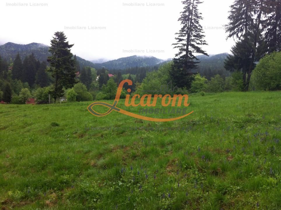 Teren intravilan Cotul Donului,pretabil Hotel/pensiune. - Poză 6