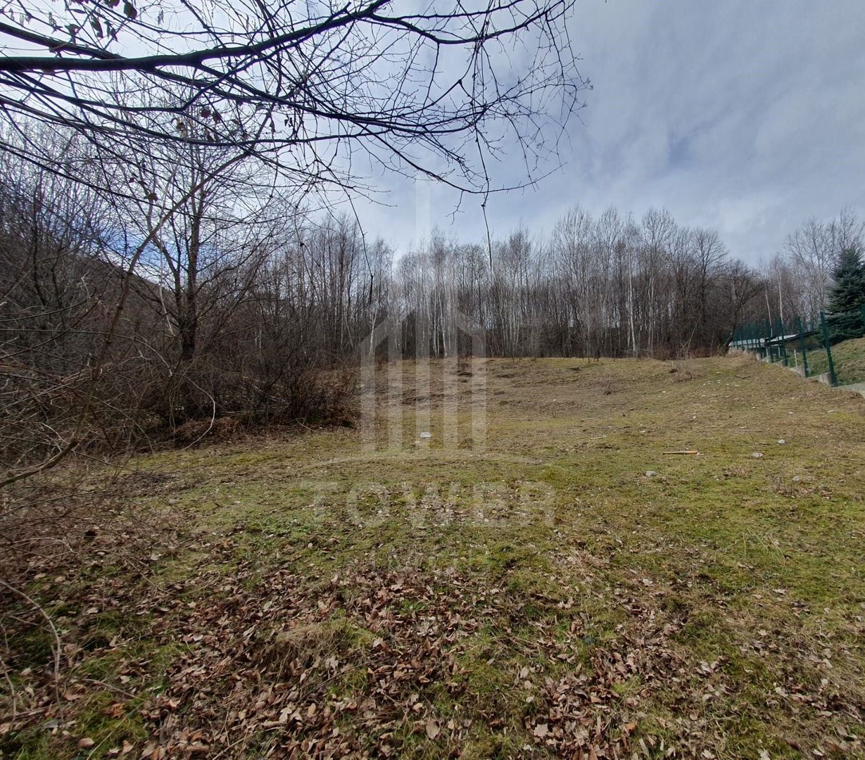 Teren Intravilan 2.938 mp | Tocile - Poză 6