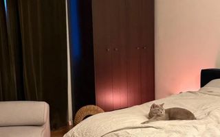 Apartament 3 Camere | 87 Mp | Balcon | 2 Bai | Horea Semicentral - Poză 4