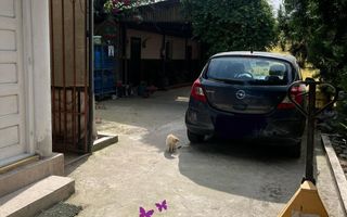 Casa in localitatea Nojorid - Poză 12