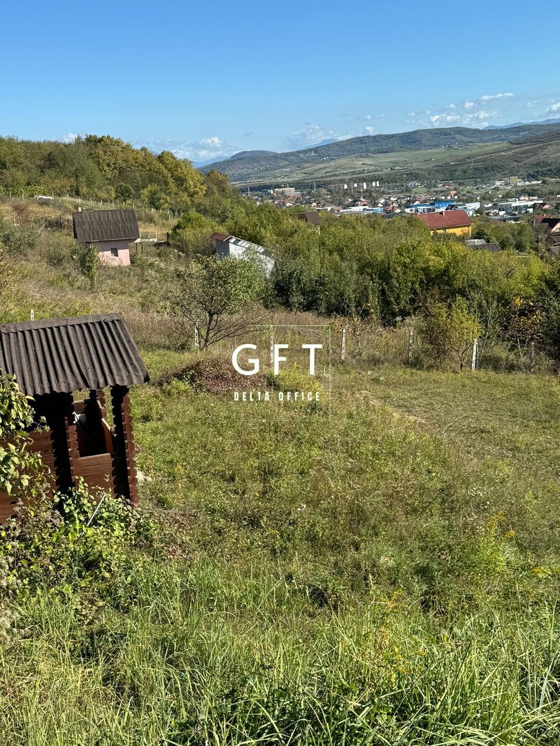 Teren de vanzare in Viisoara, 96 Ari. - Poză 5