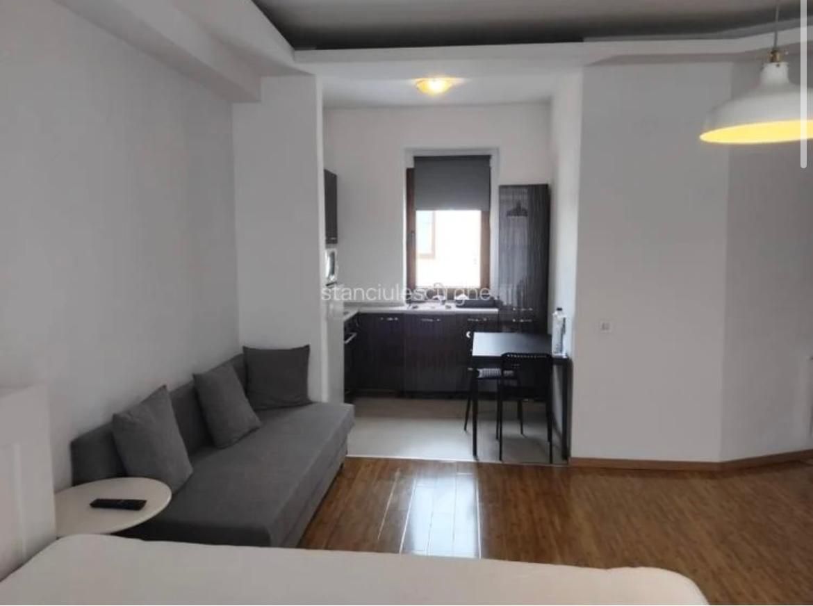 Garsonieră spațioasă de închiriat | Herăstrău - Poză 2