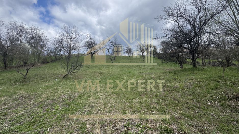 TEREN INTRAVILAN 4365 MP POENARII DE MUȘCEL  JUDEȚUL ARGES - Poză 3