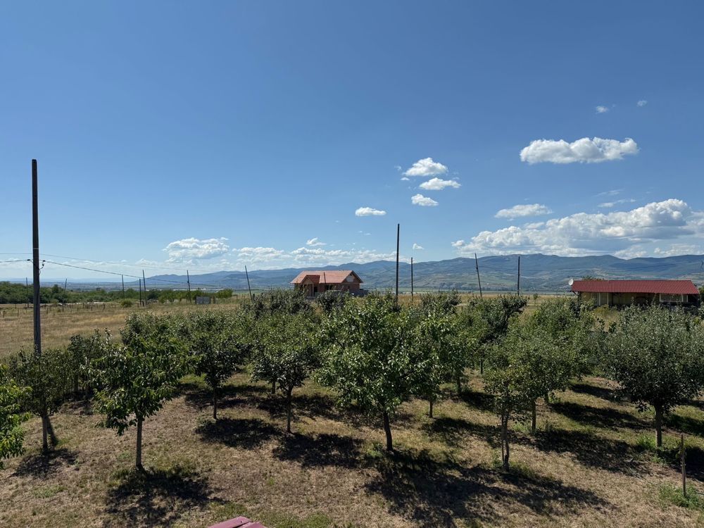 Cabana de lemn, 2 camere, teren 850 mp, livada, Oarda, Alba Iulia - Poză 3