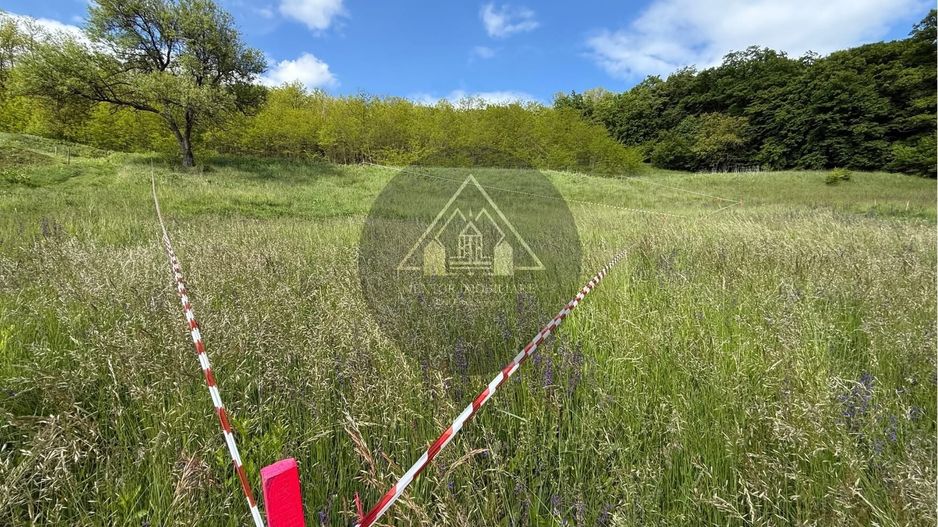 Teren de casa cu PUZ, Mosnei - Poză 5