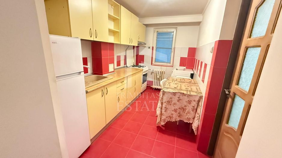 Apartament 2 Camere Teiul Doamnei Lacul Tei - Poză 8