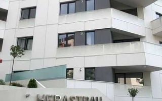 Apartament 2 camere de inchiriat Herastrau - Poză 8