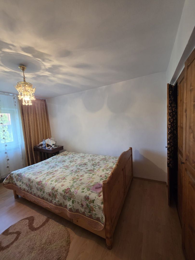 Casă / Vilă cu 8 camere de vânzare în Lapus, Craiova - Poză 17