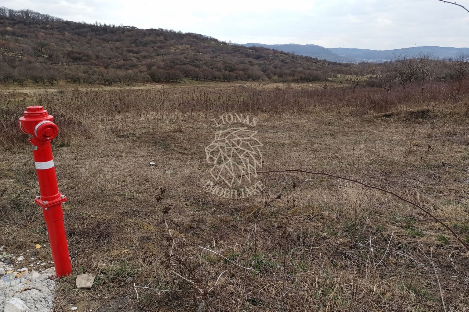 Teren intravilan 550 mp cu utilitati-ideal casa-Zona Valea Rusului - Poză 1