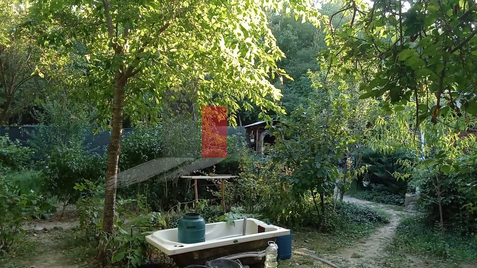 Vânzare teren intravilan Dărăști-Vlașca - Poză 11
