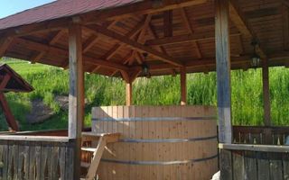 CABANA/PENSIUNE LA 25 MINUTE DE COLIBITA! PLATA IN RATE!!! - Poză 1