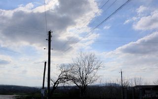 Lot Pomicol în Cricova - Poză 2