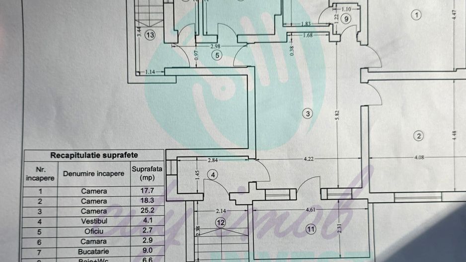 Parter vilă + demisol | Aviatorilor – Herăstrău | Grădină - Poză 2