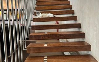 Casa individuala Timisoara/ Mehala - Poză 6