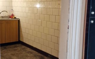 Cismigiu  |  Creditabil  | Decomandat |  De Renovat - Poză 6