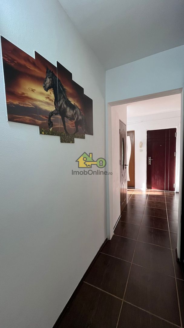 Apartament 3 Camere, 65 Mp., Complet Renovt, Timișoara, Zona Aradului - Poză 14