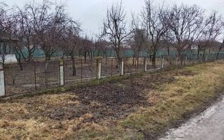 loc de casa - Poză 1