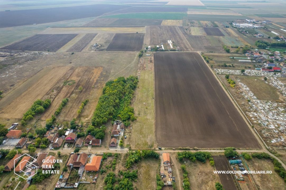 Teren intravilan, 14900 mp, Curtici - Poză 5