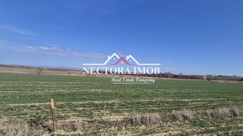 NECTORA IMOB-Teren Intravilan 537 mp, Zona Solay, 250 m de asfalt - Poză 4