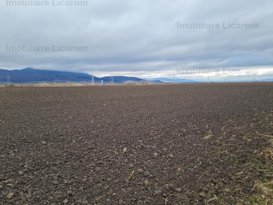 Teren Agricol 2,9 HA,intre Cristian si Vulcan/teren SPORT - Poză 4