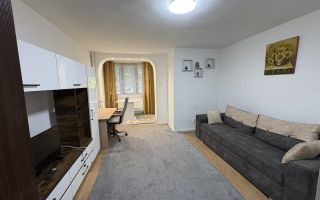Apartament 1 cameră de închiriat, Tătărași, Str. Vasile Lupu - Poză 4