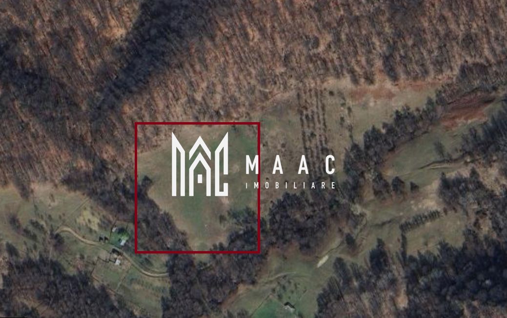 Teren Extravilan 20.000Mp I Stoenești -Vâlcea I Apă Curentă și Pădure - Poză 16