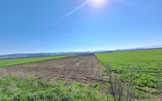 Teren extravilan, 8700 mp, pretabil agricultură sau investiție - Bod - Poză 6