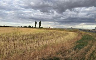 Teren intravilan Branesti - Poză 5