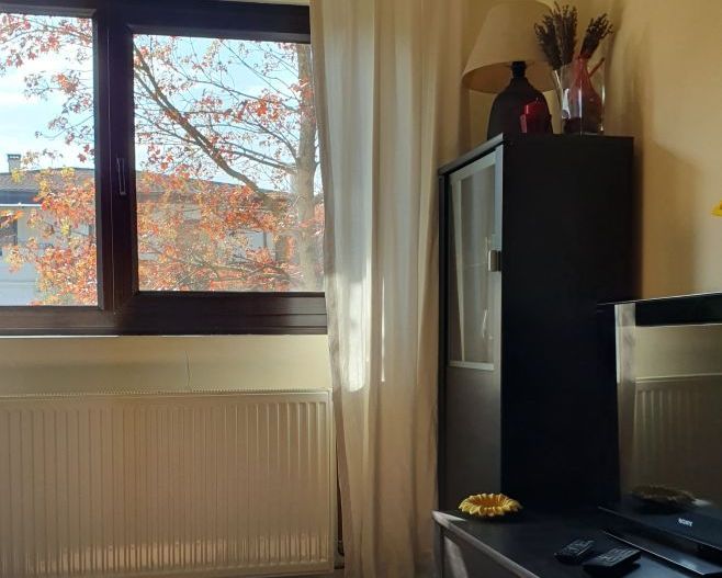 Vanzare vila 5 camere | Langa padure | Bucuresti | Baneasa - Poză 12