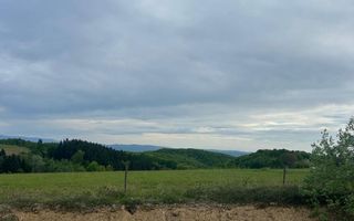 TEREN DE VANZARE IN SINTEU - Poză 3