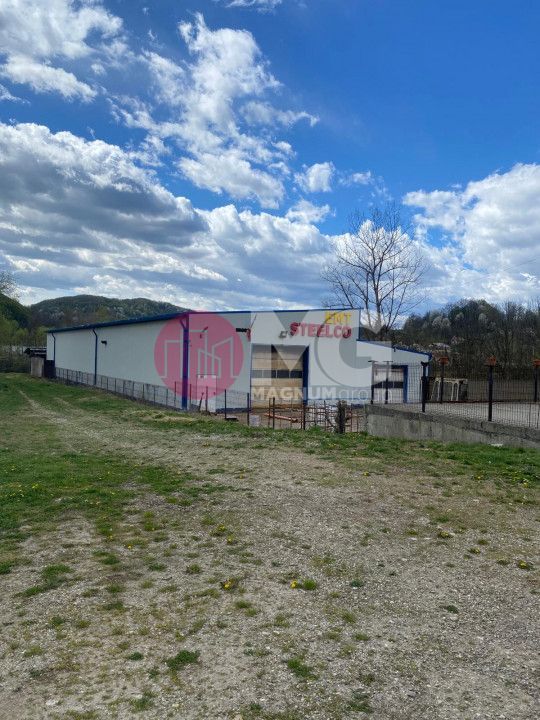 Hala industriala + teren Pausesti Valcea - Poză 2