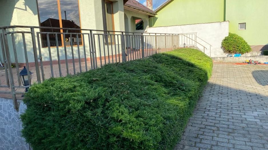 Casa individuala intima cu teren mare in Avrig, Sibiu - Poză 2