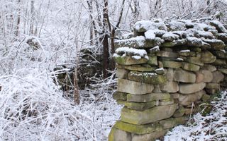 Teren cu izvor de apă minerală  Dangești, Punctul Valea Mare - Poză 26