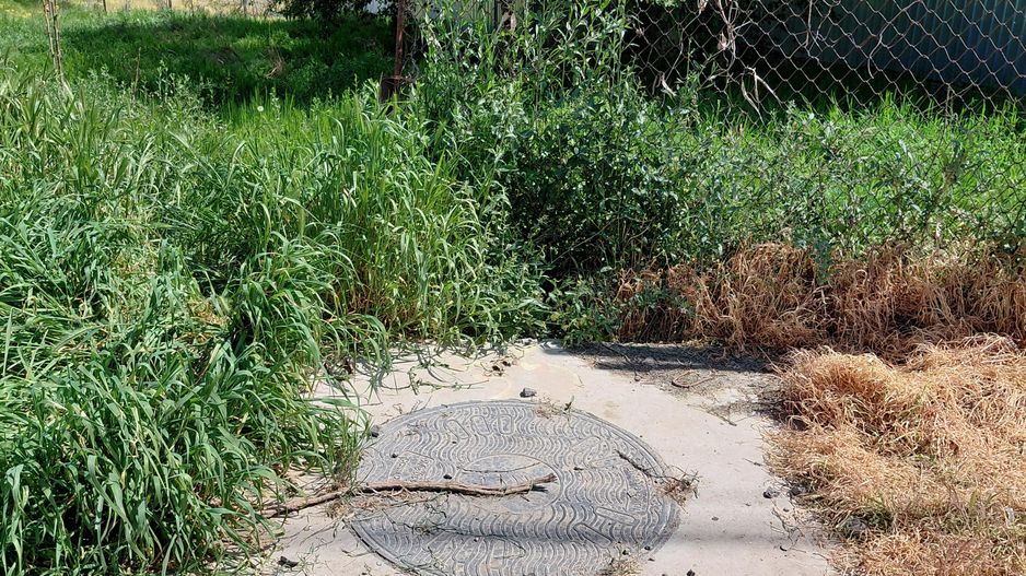 Teren intravilan 3.250 mp în Filești – Ideal pentru casă sau investiție! - Poză 11