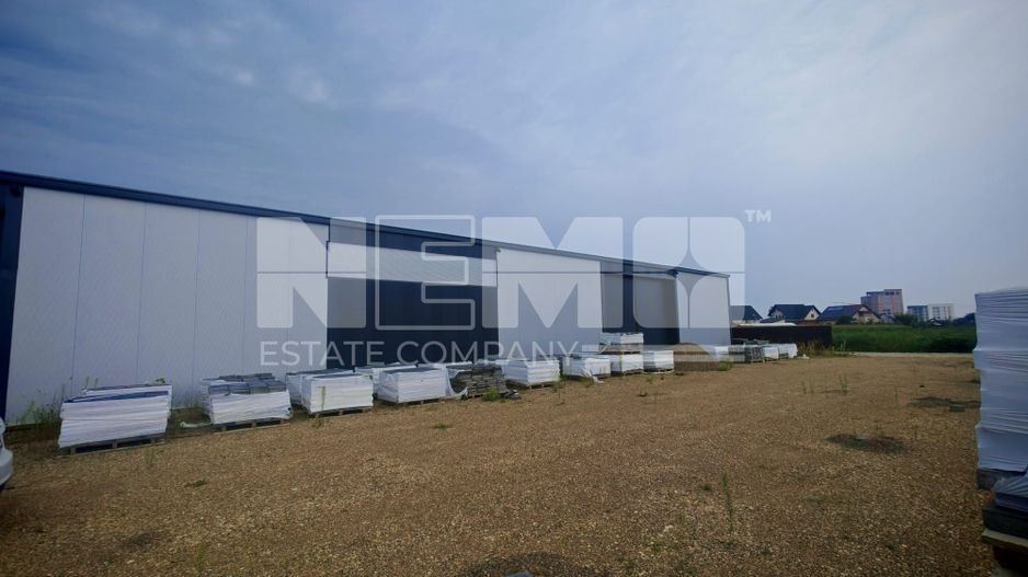 Închiriere Hală | 600 MP | Personalizabilă - Poză 4