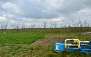 Teren de vanzare in Săcele ideal pentru silozuri, fermă 6 ha - Poză 20