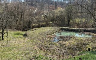 Teren Govora / 8131mp - Poză 5