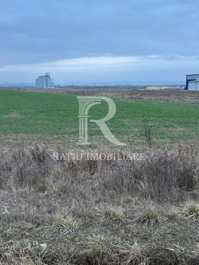 Teren de inchiriat | 20,088 ha | Sacadat | Bihor - Poză 2