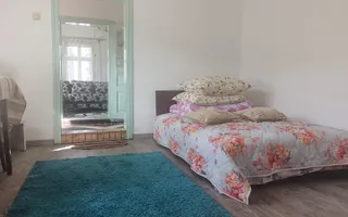 Casă de vânzare Drăgoiești - Poză 11